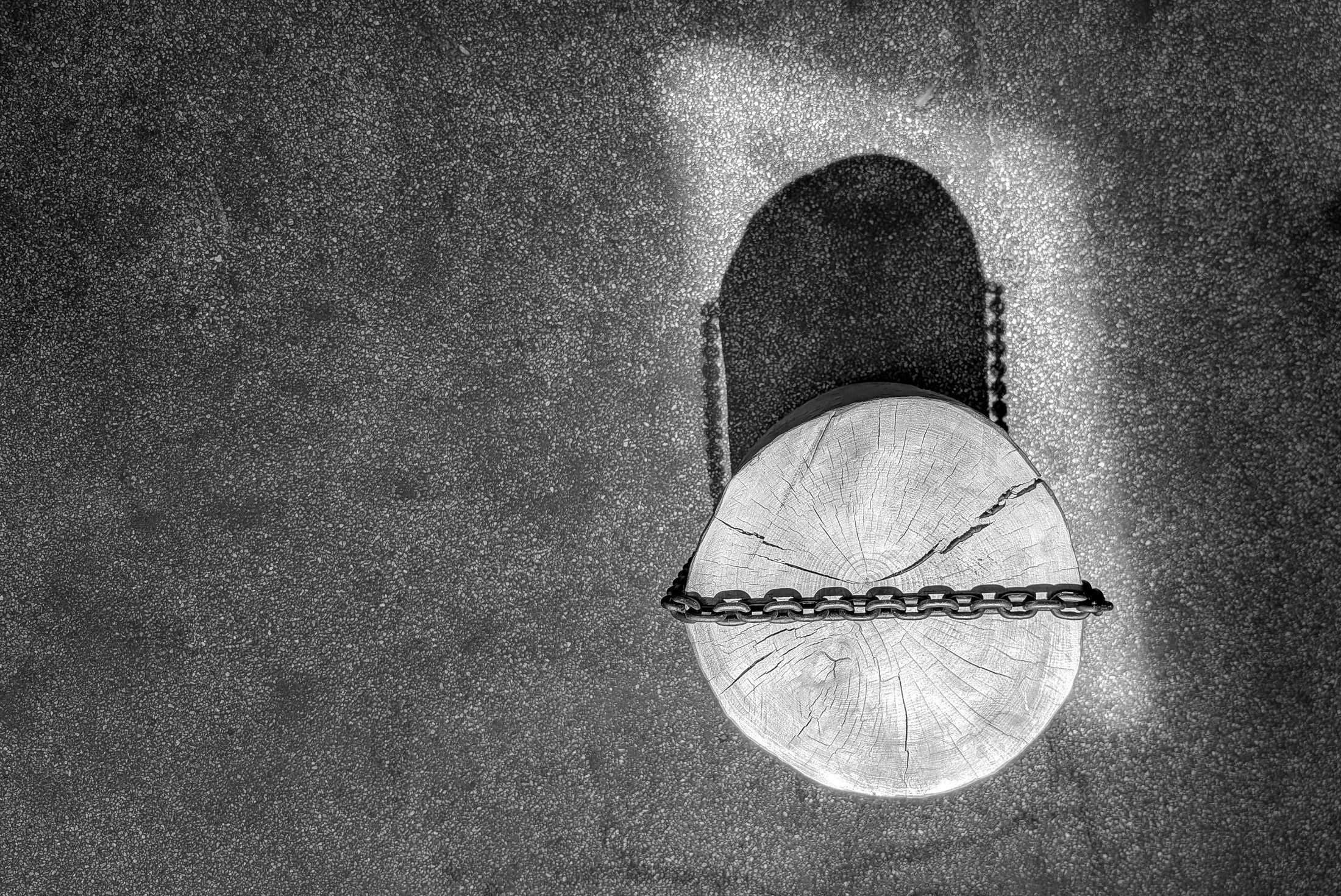 Shan Deliar, self-portrait — a chained form viewed from above, in black and white